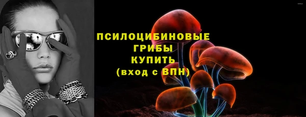 твердый Балахна