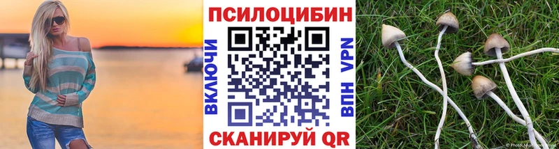 Псилоцибиновые грибы GOLDEN TEACHER  Купить закладки  Высоковск 